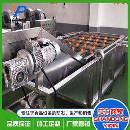 水蜜桃氣泡噴淋清洗機批發價格