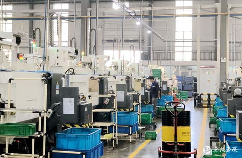 玉商本色，逐浪前行——玉環(huán)工程機(jī)械產(chǎn)業(yè)搶抓機(jī)遇拓市場(chǎng)、趁勢(shì)而上穩(wěn)增長(zhǎng)